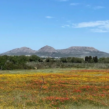 Torre Bertrana By Grup Duquessa Pals